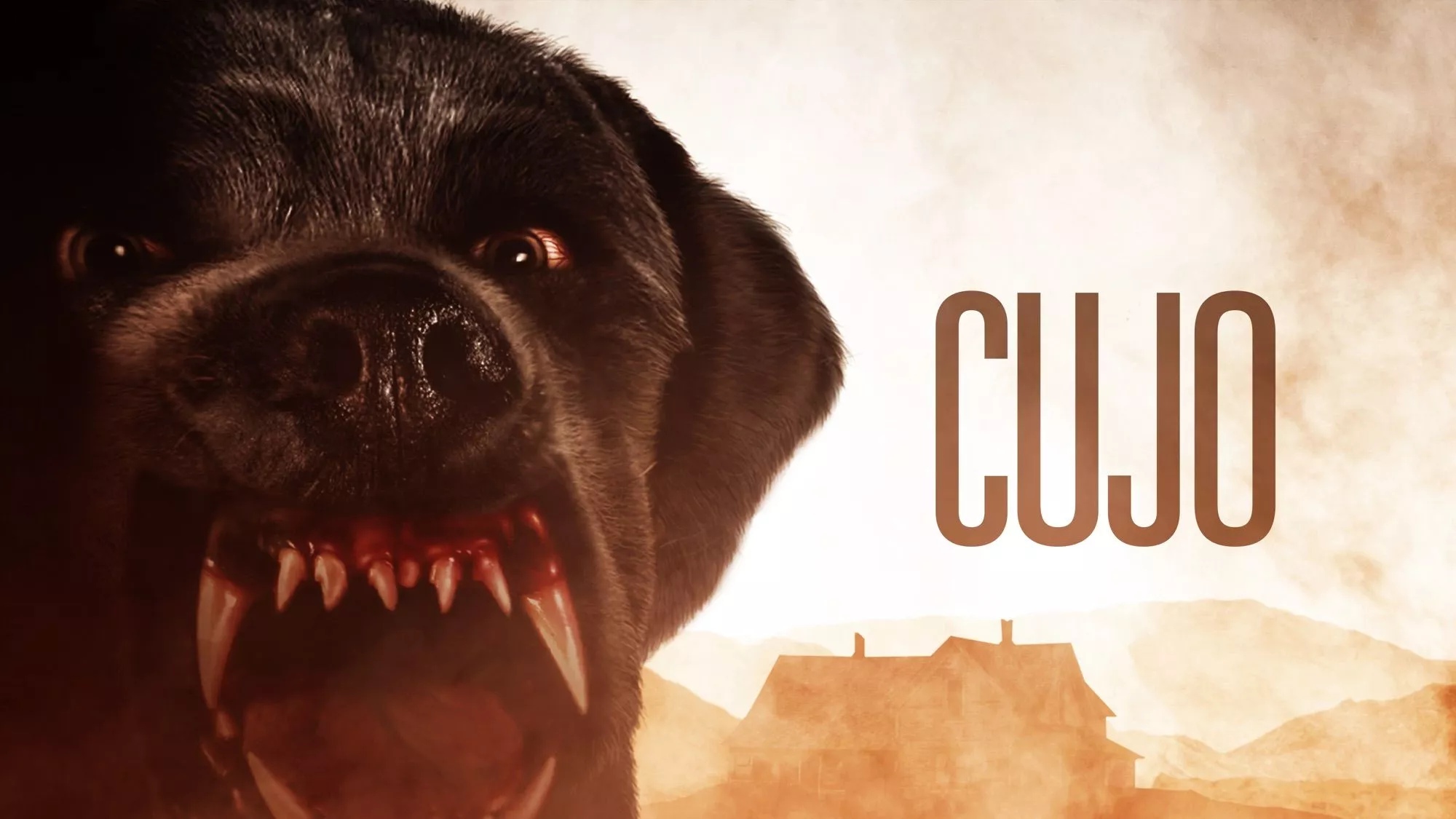 Kult-Hund kehrt zurück: Netflix plant Remake von Stephen Kings „Cujo“