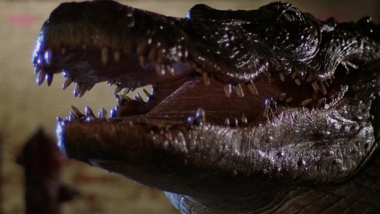 Der Horror-Alligator