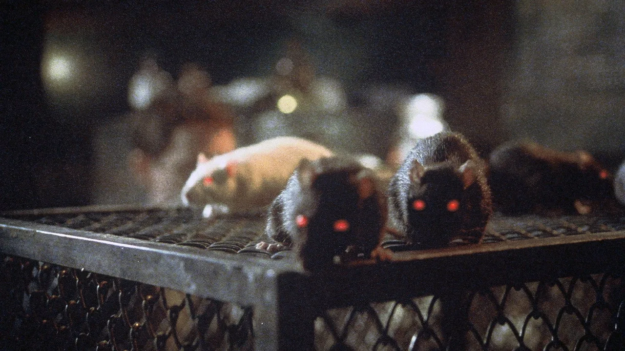 The Riffs III - Die Ratten von Manhattan