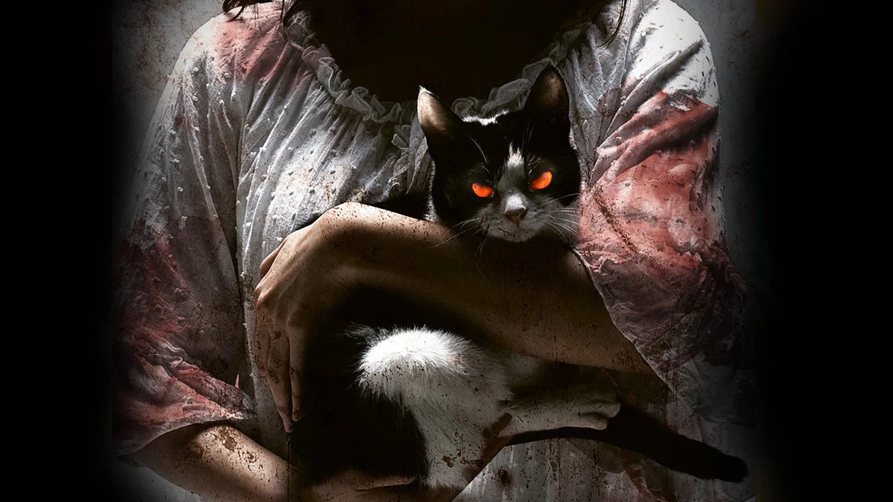 The Cat