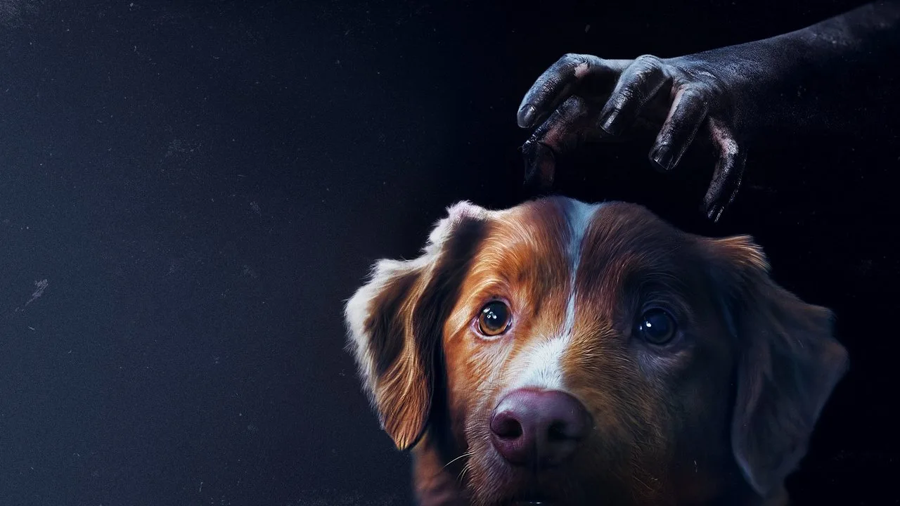 Good Boy - Trust His Instincts