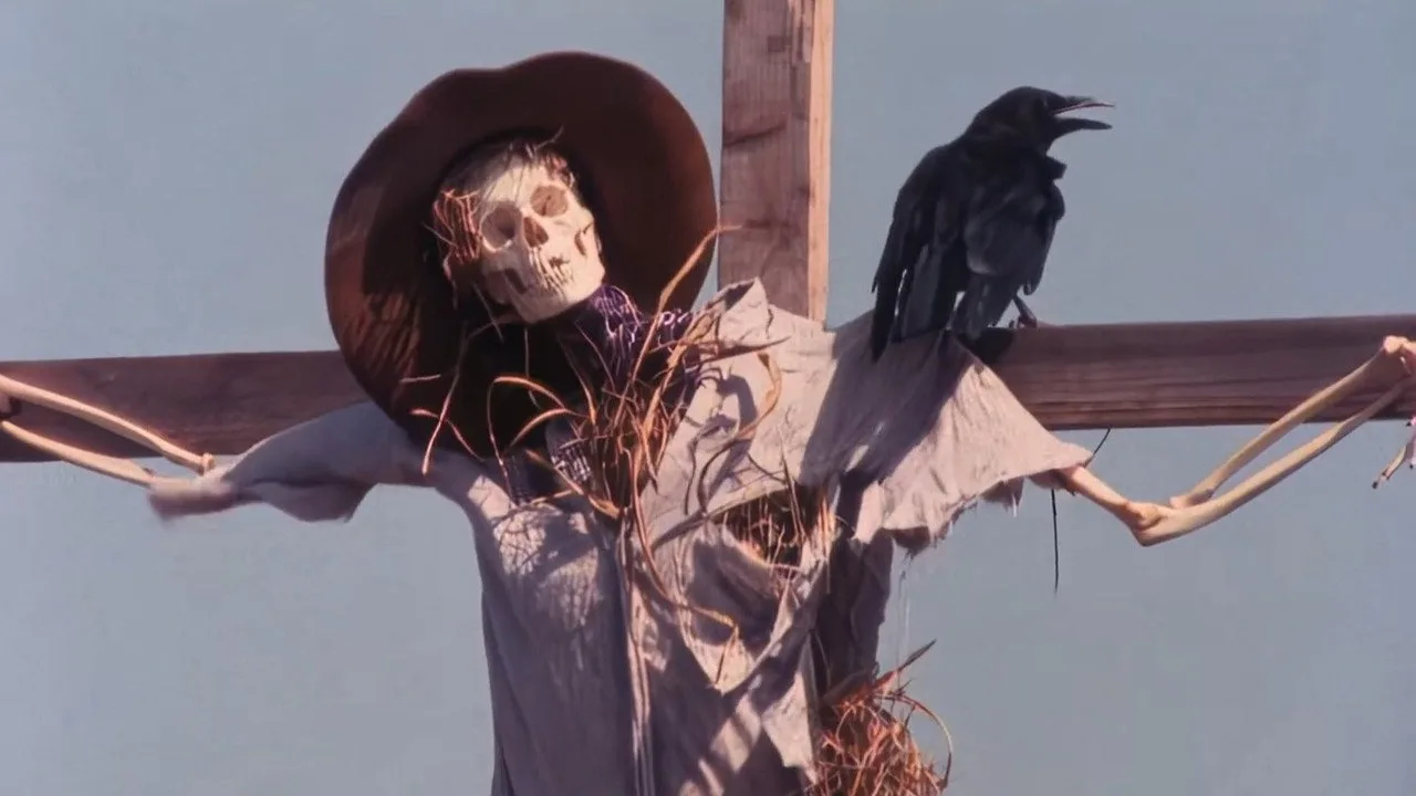 The Night of the Crow