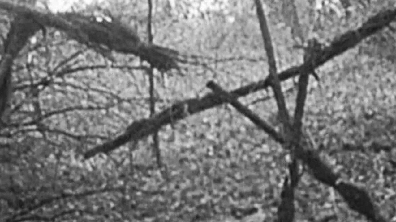 Blair Witch Project
