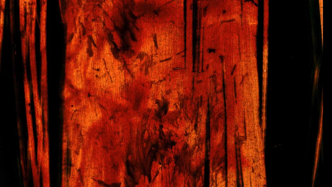 House of Death