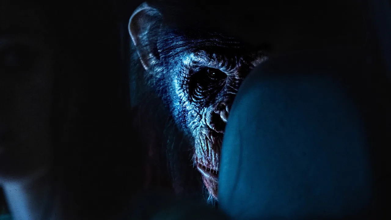 Primate